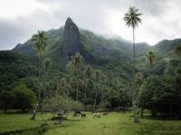 Antoine PIHEN - Antoine Pihen Photographe