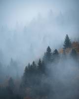 Antoine PIHEN - Antoine Pihen Photographe