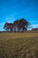 Hugues Willy KREBS - NEREIDES STUDIO